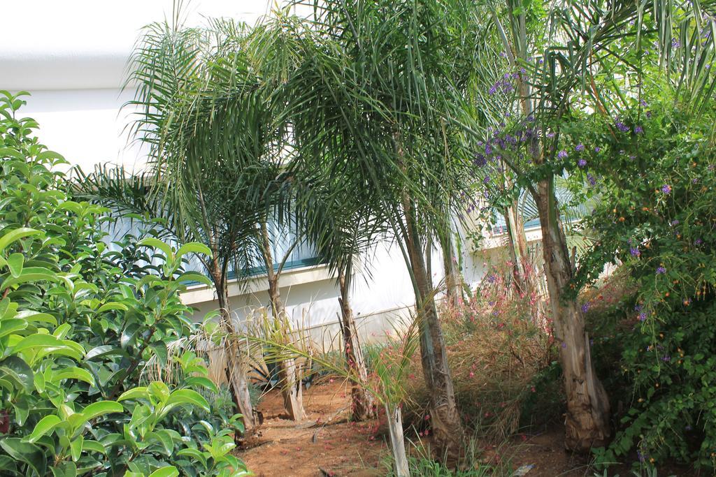 Guest house Salenthouse 3*