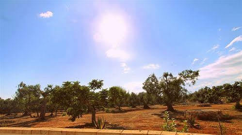 Salenthouse