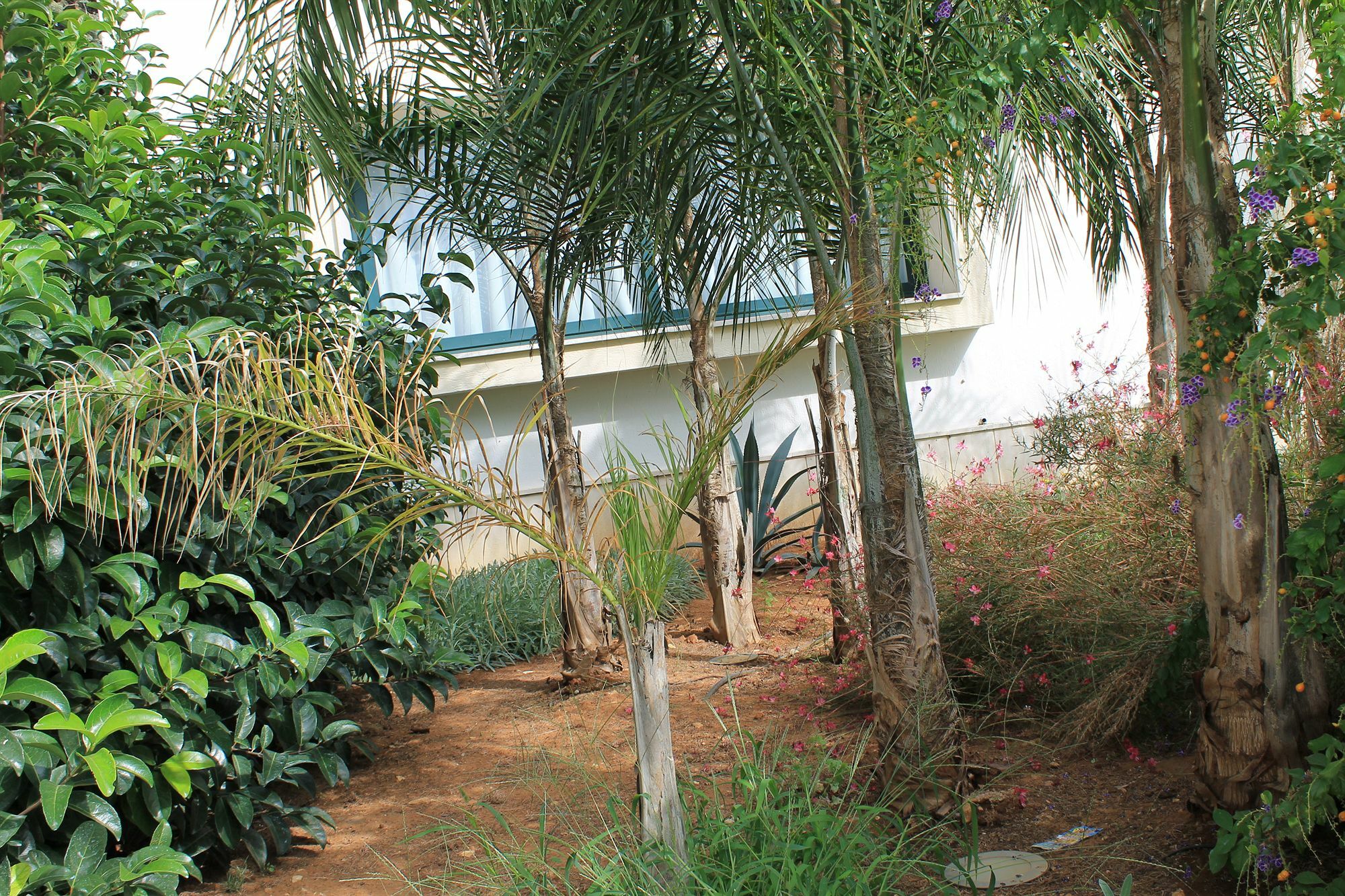 Salenthouse Guest house Racale